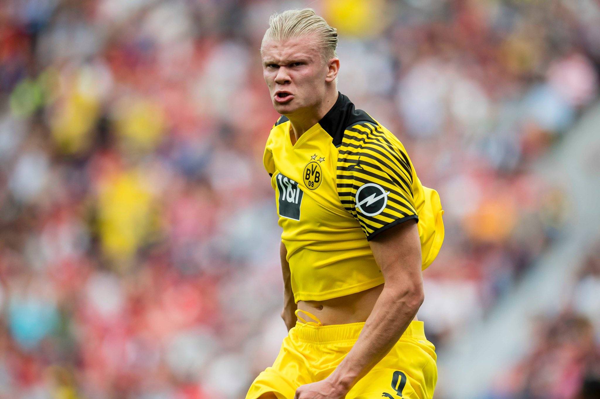 是合理的 是合理的