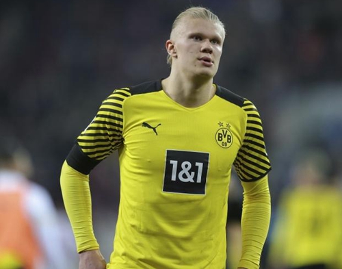 风险日清单 风险日清单